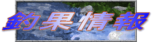�މʏ��